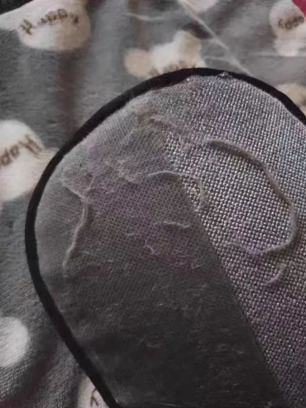 EZ Pet Hair Remover - Buy 1 Get 1 Free! - A Purfect Holiday Gift!