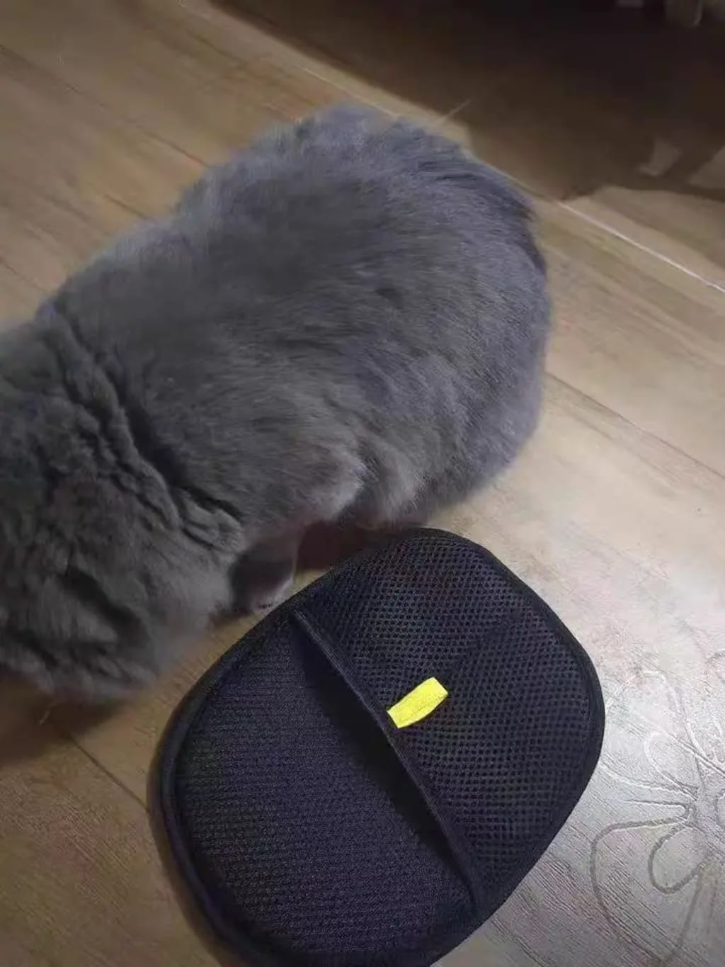 EZ Pet Hair Remover - Buy 1 Get 1 Free! - A Purfect Holiday Gift!